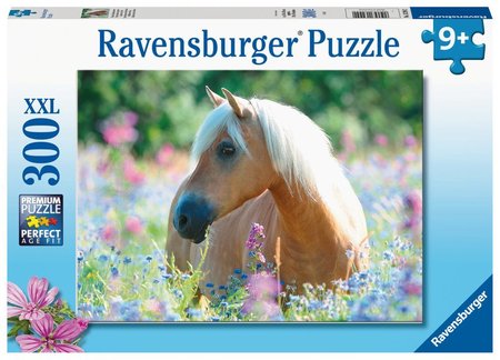 Ravensburger K 300 dlk