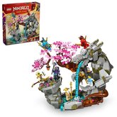 LEGO NINJAGO 71819 Chrm draho kamene