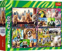 Trefl Puzzle 4x250 - Legran zvata